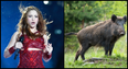 Shakira “stood up” to wild boars who attacked her and stole her bag in Barcelona