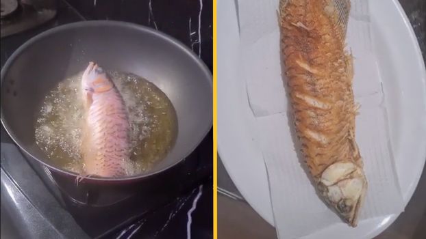 woman deepfries her husband's pet fish