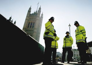 Eight people arrested for cannabis possession in House of Commons and House of Lords