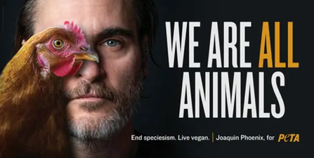 Joaquin Phoenix calls for everyone to go vegan and ‘end speciesism’