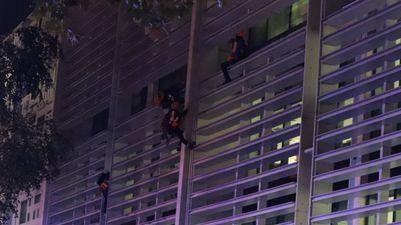 Animal Rebellion protesters climb Government building demanding UK go vegan