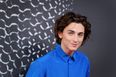 Timothée Chalamet admits to having a secret YouTube channel