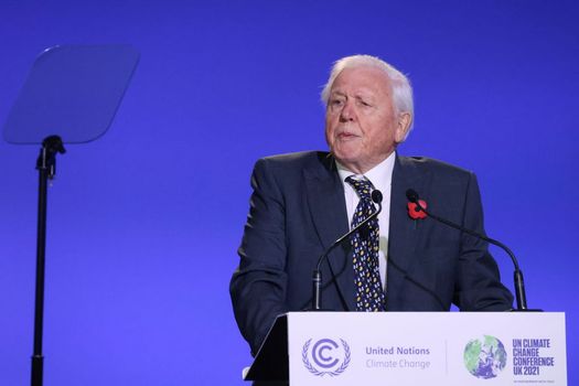 David Attenborough powerful COP26 speech