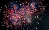 Petition to restrict fireworks to protect pets gets 800,000 signatures