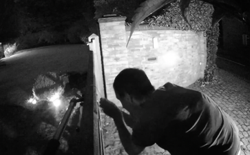 Police hunt man caught on camera hanging dead rabbit on person’s gate