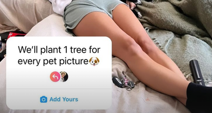 The ‘post a pet pic, plant a tree’ trend seems to be one big scam