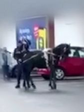 Shocking footage shows pony being beaten with pole 15 times as owner says ‘its gotta learn’