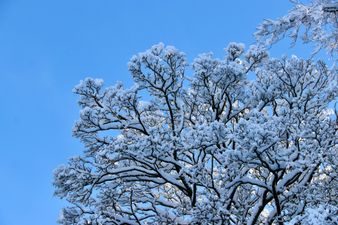 Exact date snow to hit Britain as temperature expected to hit -11C in days