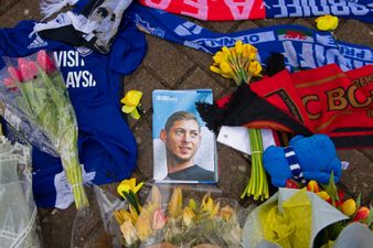 Emiliano Sala: David Henderson sentenced to 18 months in prison over plane crash deaths