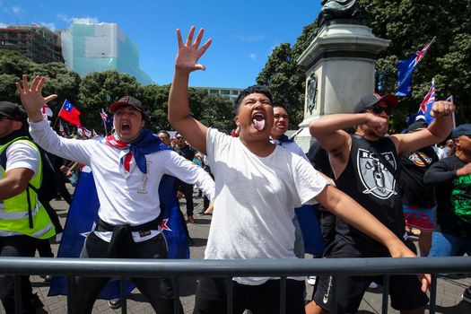 Maori tribe asks anti-vaxxers to stop using the haka