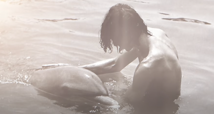 Man claims dolphin seduced him and it led to a sexual relationship