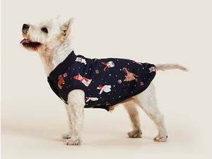 M&S is selling matching Christmas pyjamas for you and your dog