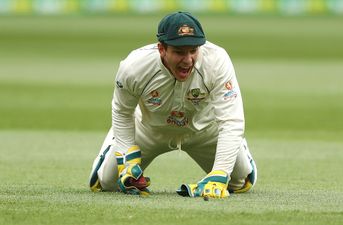 Tim Paine takes immediate break from all forms of cricket ahead of Ashes