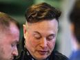 Elon Musk issues warning about crumbling of civilisation