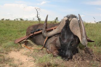 British big game hunters to be banned from bringing trophies home