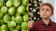 People who hate sprouts are more highly evolved, apparently