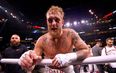 Jake Paul looks to face experienced boxer as next opponent