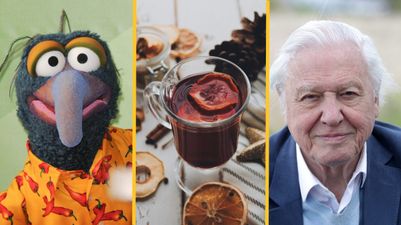 The JOE 12 Days of Quizmas: Day 12