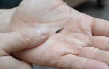 Tiny rice-sized microchip implant which holds your Covid passport info unveiled