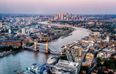 Wildlife returns to the Thames 60 years after it was declared biologically dead