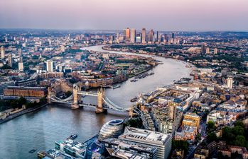 Wildlife returns to the Thames 60 years after it was declared biologically dead