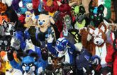 School district responds to rumours litter boxes are for students identifying as furries