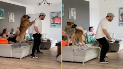 German coach goes viral for animated living room antics