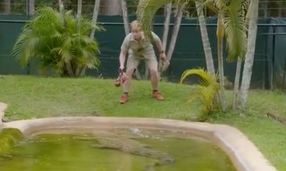 Steve Irwin's son fleeing from crocodile enclosure