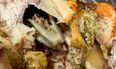 Woman shocked after finding chicken foot inside her roast chicken