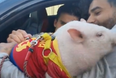 Barcelona starlet Riqui Puig signs autogpraph on actual pig