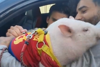 Barcelona starlet Riqui Puig signs autogpraph on actual pig