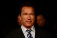 Arnold Schwarzenegger sends support to Klitschkos as they join fight against Russia