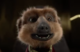 Meerkat ads pulled over Ukraine war sensitivities