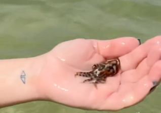 Tourist casually picks up one of the world’s most dangerous creatures