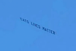 ‘Cats’ Lives Matter’ banner flies over Anfield during Liverpool-West Ham game