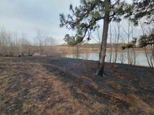 Homemade potato launcher sparks New York wildfire