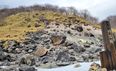 Magical Japanese boulder that’s trapped a demon for 1,000 Years has cracked open suddenly