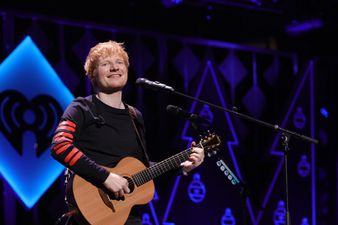 Ed Sheeran’s music best at sending dogs to sleep, study finds