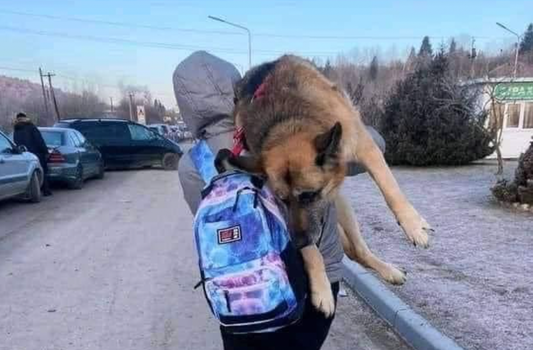 Woman carries elderly dog