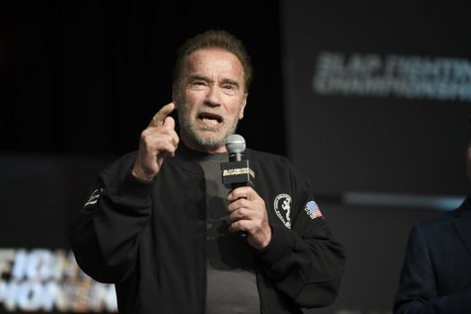 Arnold Schwarzenegger delivers message to Russian troops