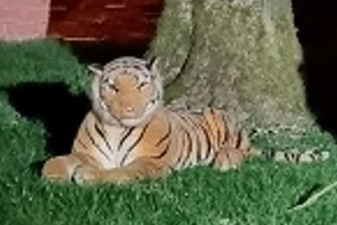 Terrified neighbours call police over tiger in back garden – it was a cuddly toy