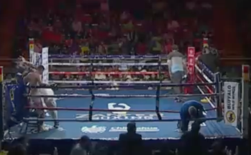 Boxing referee stretchered out of ring after being hit by fighter