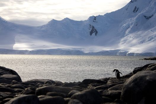 Goudier Island