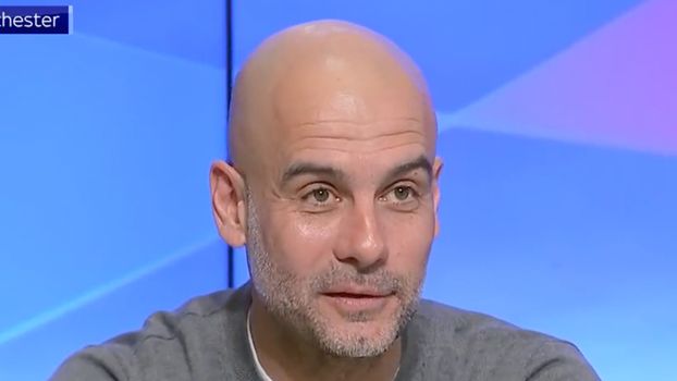 Guardiola Fernandinho