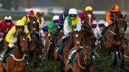 Animal rights activists call for Grand National to end after two horses die