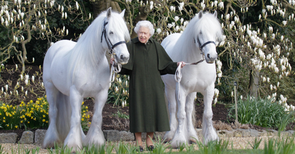 Queen channels Kim Jong-un for Lord of the Rings-style 96th birthday snap