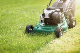 People are being told to not cut their grass in May for a good cause