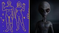 NASA to send naked pictures of humans to space in hope of ‘attracting aliens’