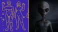 NASA to send naked pictures of humans to space in hope of ‘attracting aliens’