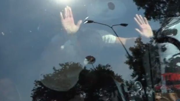 Zlatan Ibrahimovic window